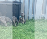 Small #5 Breeder Profile image