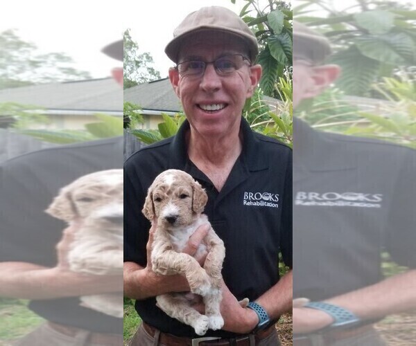 Medium Photo #1  Breeder Profile in JACKSONVILLE, FL, USA