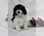 Small #12 Breeder Profile image