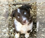 Small #30 Breeder Profile image