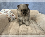 Small #9 Breeder Profile image