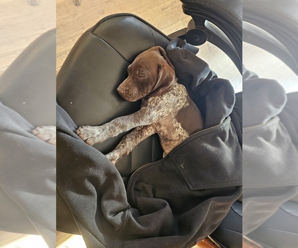 Medium Photo #4  Breeder Profile in EVANSVILLE, WY, USA