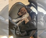 Small #3 Breeder Profile image