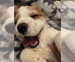 Small #5 Breeder Profile image
