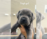 Small #4 Breeder Profile image