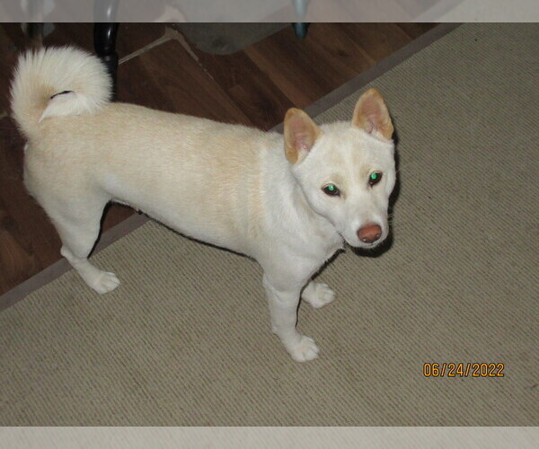 Medium Photo #1  Breeder Profile in BOISE, ID, USA