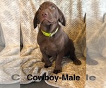 Small breeder photo