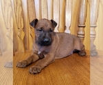 Small #5 Breeder Profile image