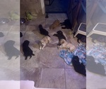 Small #3 Breeder Profile image