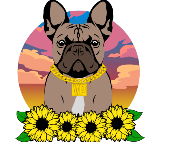 Medium Photo #1  Breeder Profile in LAUD LAKES, FL, USA
