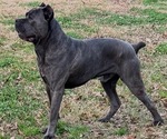 Small #15 Breeder Profile image