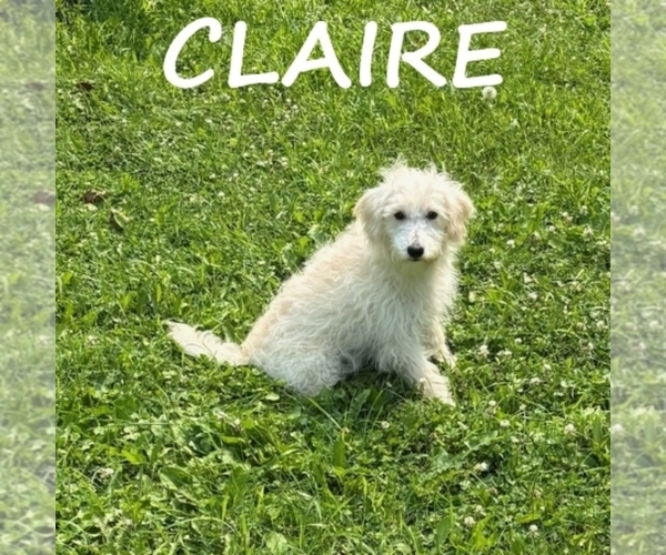 Medium Photo #6  Breeder Profile in HARTLAND, MN, USA