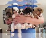 Small #5 Breeder Profile image
