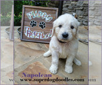 Small #23 Breeder Profile image