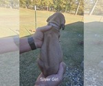 Small #34 Breeder Profile image