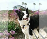 Small #53 Breeder Profile image