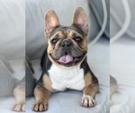 Small #3 Breeder Profile image