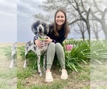 Small #1 Breeder Profile image