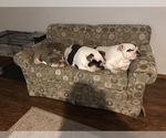 Small #3 Breeder Profile image