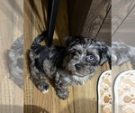 Small #4 Breeder Profile image