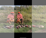Small #2 Breeder Profile image