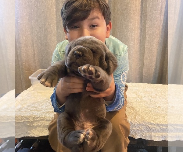 Medium Photo #13  Breeder Profile in SAN MARCOS, TX, USA