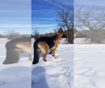 Small #15 Breeder Profile image