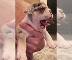 Small #39 Breeder Profile image