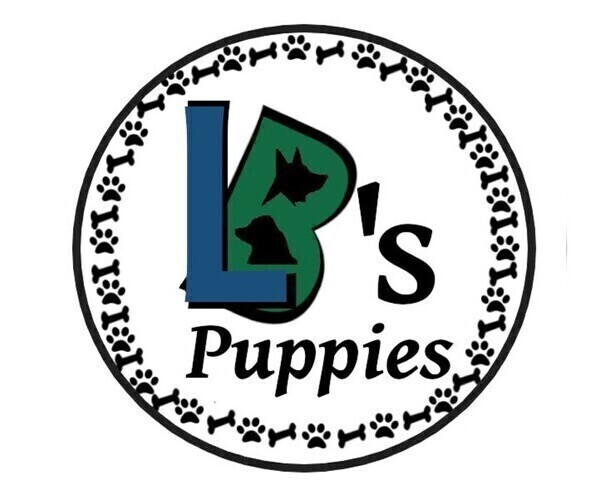 Medium Photo #1  Breeder Profile in LEBANON, MO, USA