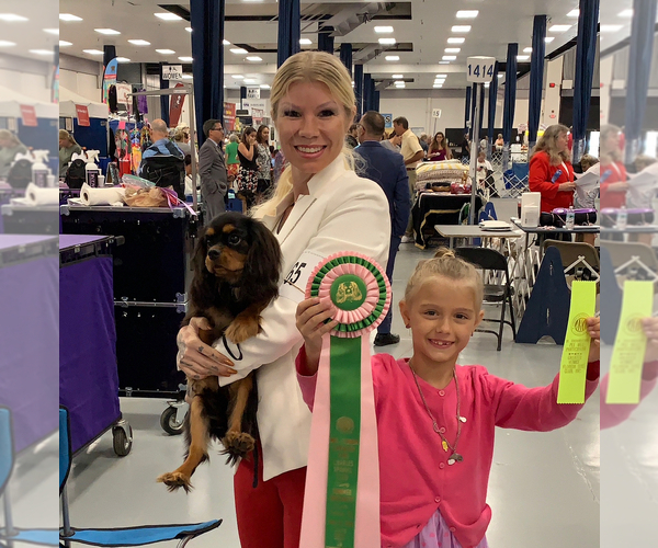 Medium Photo #16  Breeder Profile in MIAMI, FL, USA