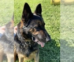 Small #8 Breeder Profile image