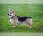 Small #8 Breeder Profile image