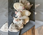 Small #12 Breeder Profile image