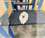 Small #2 Breeder Profile image