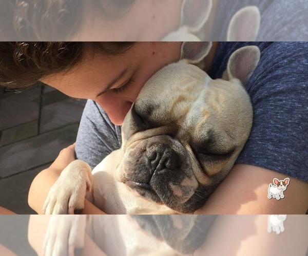 Medium Photo #1  Breeder Profile in SANTA ANA, CA, USA