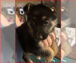 Small #14 Breeder Profile image