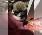 Small #3 Breeder Profile image