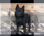Small breeder photo