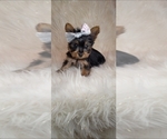 Small breeder photo