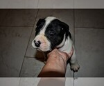 Small #23 Breeder Profile image