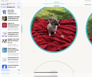 Pembroke Welsh Corgi Dog Breeder near CLEVELAND, TX, USA