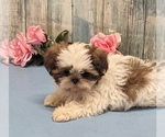 Small #21 Breeder Profile image