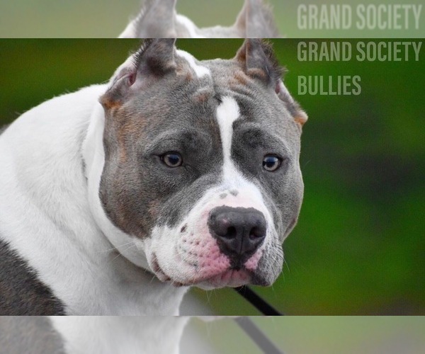 Medium Photo #1  Breeder Profile in SYLMAR, CA, USA