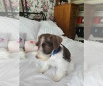 Small #2 Breeder Profile image