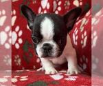 Small #13 Breeder Profile image