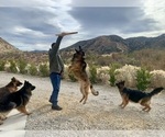 Small #19 Breeder Profile image