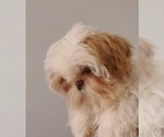 Small #5 Breeder Profile image