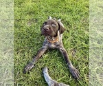 Small #32 Breeder Profile image