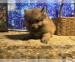 Small #7 Breeder Profile image
