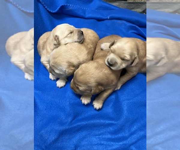 Medium Photo #1  Breeder Profile in MOUNT STERLING, KY, USA